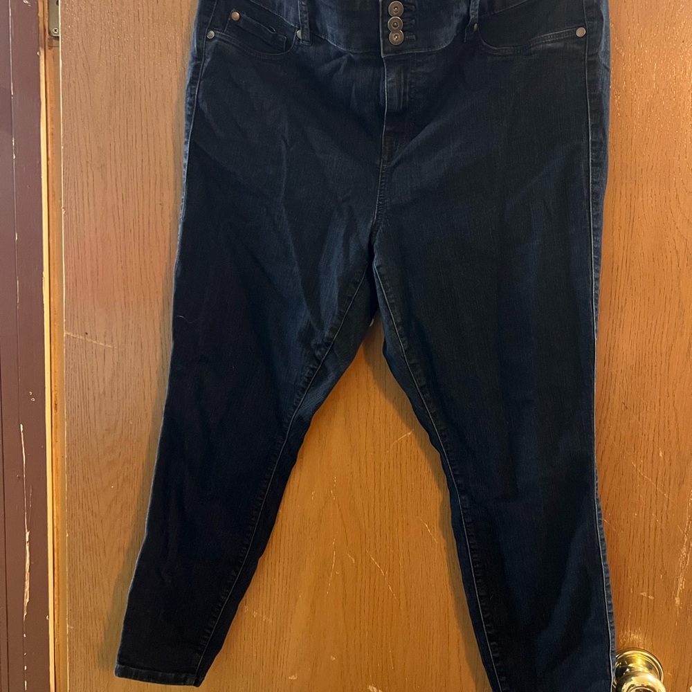 Torrid Black Skinny Stretch Jeans